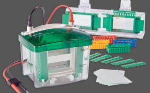 Ai đang sử dụng sản phẩm 'độc quyền' của Bio-Rad?